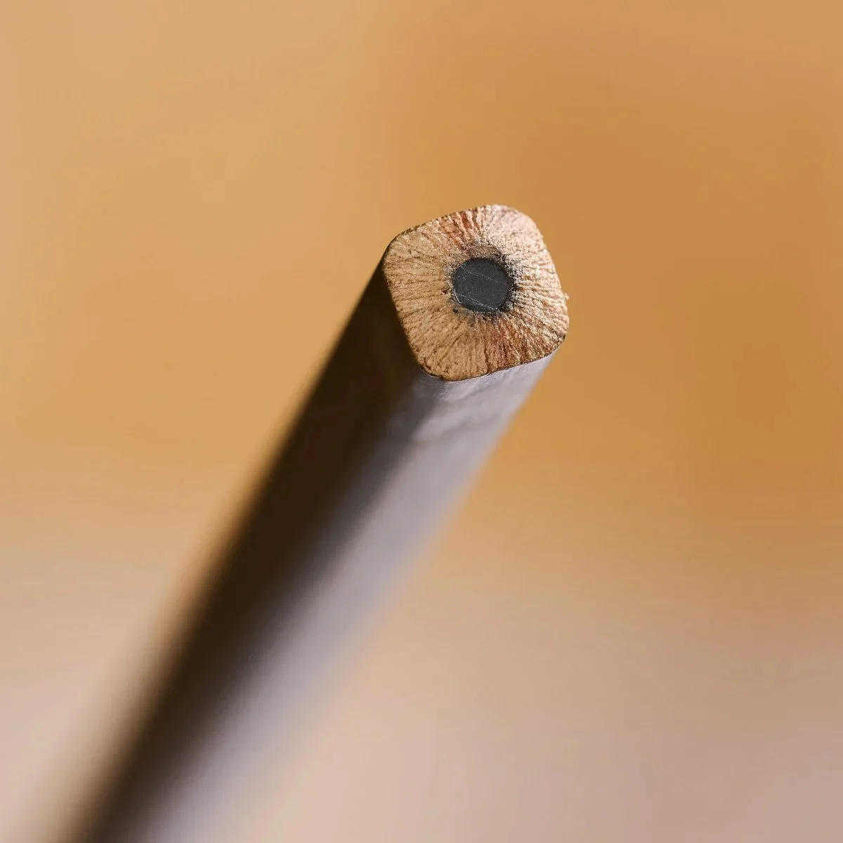 Blackwing Volume 21: The Woodworking Pencil - Image 5
