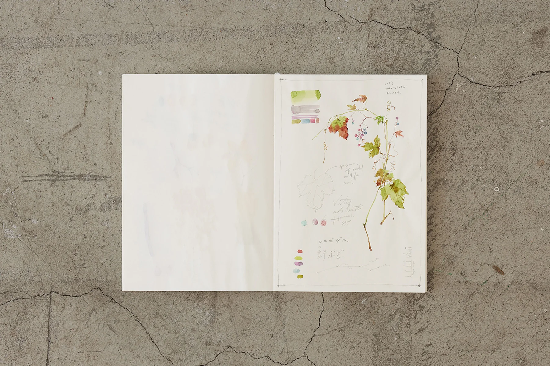 MD Cotton Notebooks - Image 6