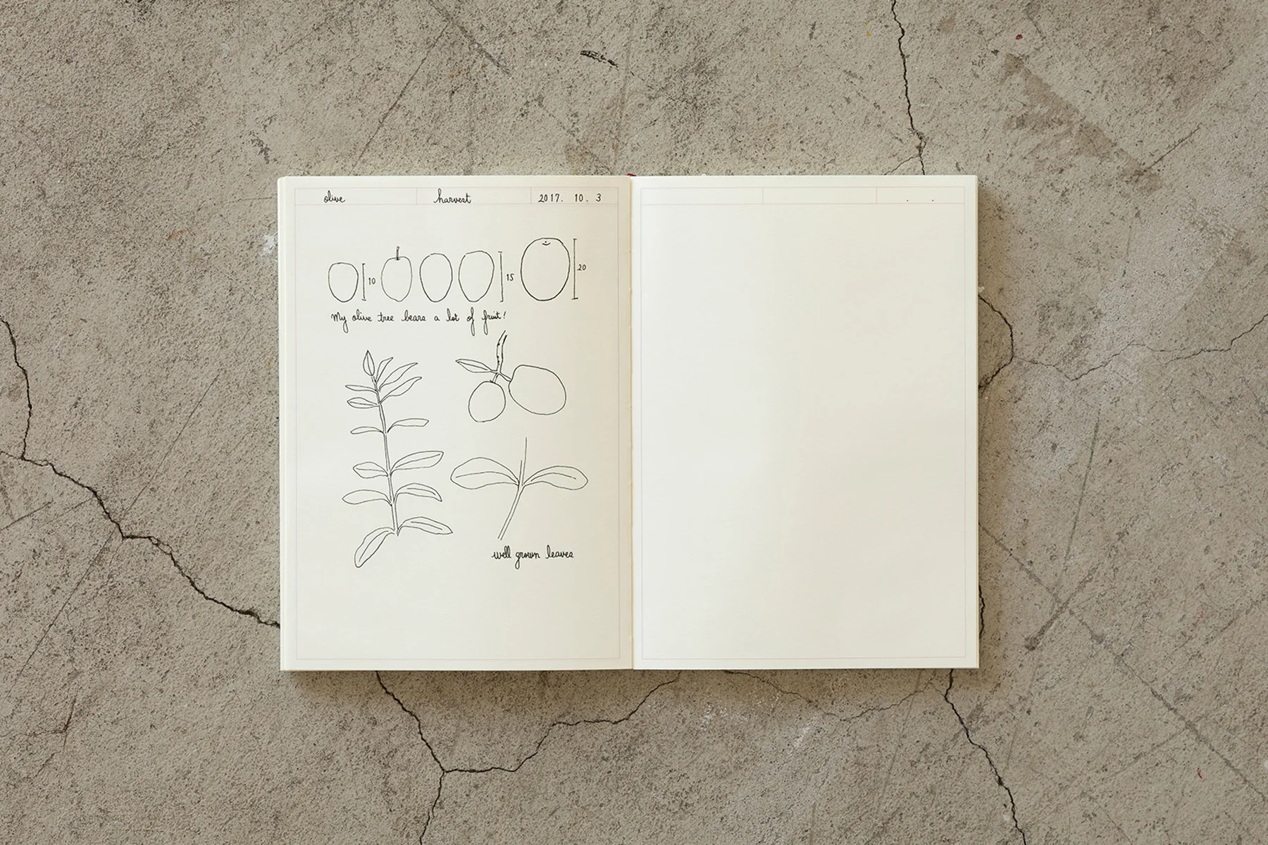 MD Notebook Journal A5 Frame - Image 3